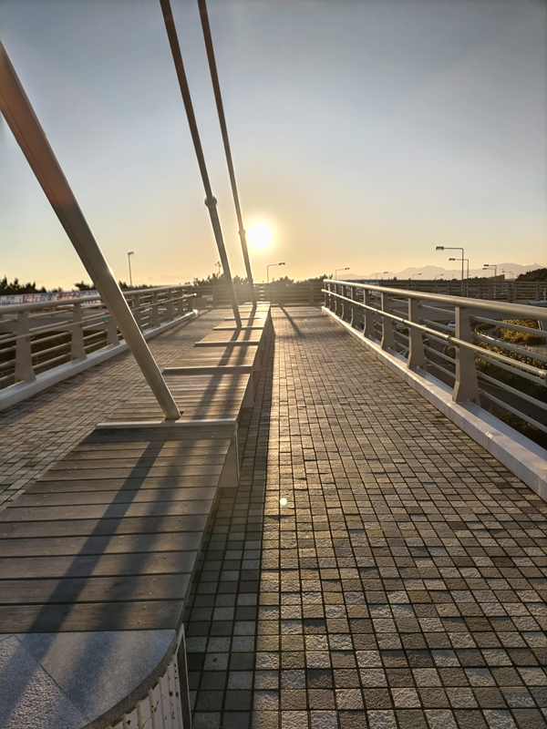 引籠りニートだった齋藤健一が帰り際に見ていた太陽の光