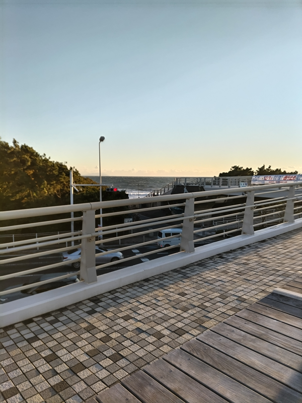 引籠りニートだった齋藤健一が夕刻の歩道橋から茅ケ崎の浜須賀の海を見ていた様子