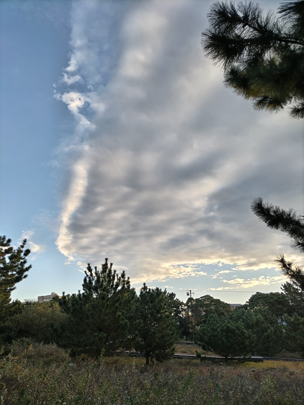 元ニート引籠りが早朝に見上げていた快晴の空に広がる雲