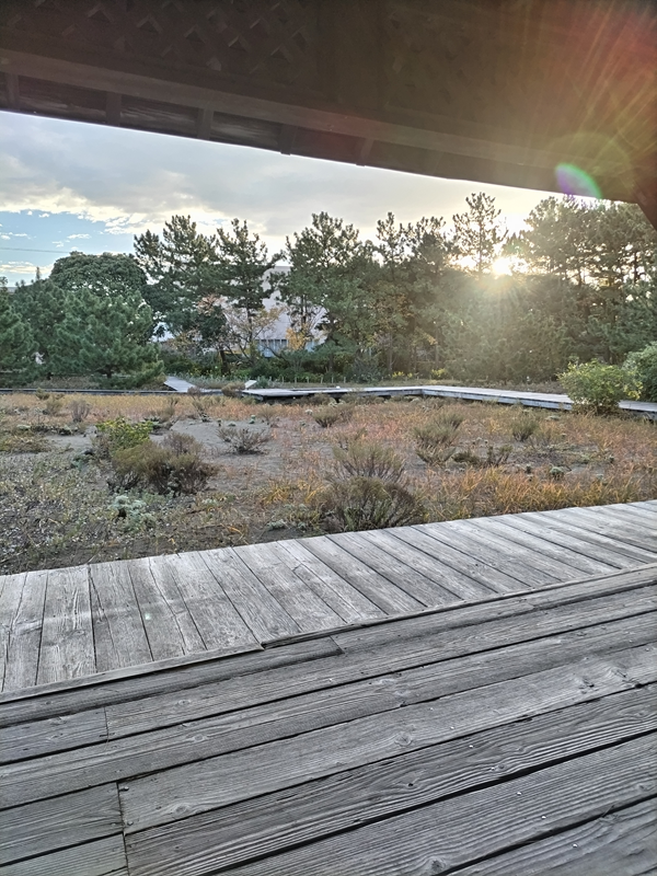 引籠りニートだった齋藤健一が見ていた木製の床と樹木