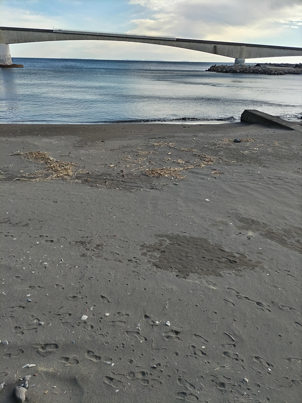 引籠りニートだった齋藤健一が真鶴町の岩海岸の砂浜を見ている様子