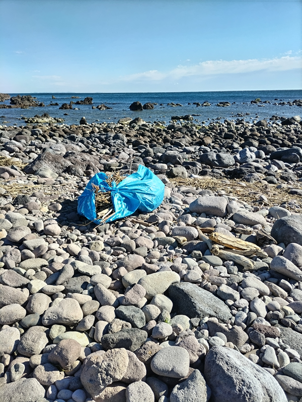 元引籠りニートが三ツ石海岸で海岸清掃していた時の様子