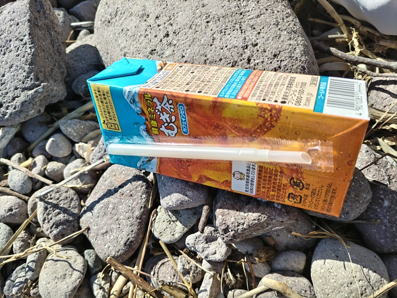 元ニート引籠りの齋藤健一が三ツ石海岸で飲んだ麦茶のパック