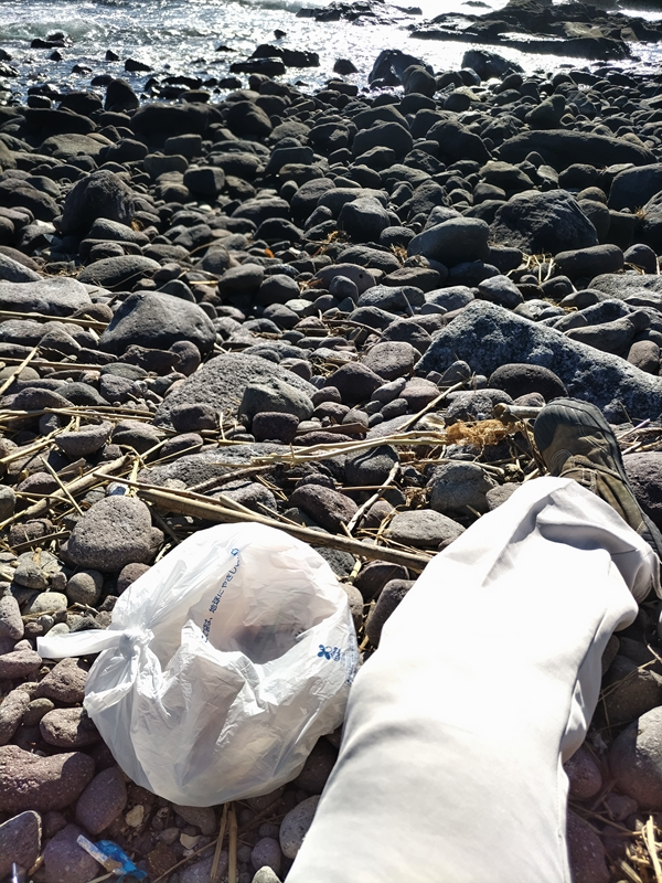 元ニートの齋藤健一が神奈川県の真鶴町の三ツ石海岸で昼食を食べる直前の様子