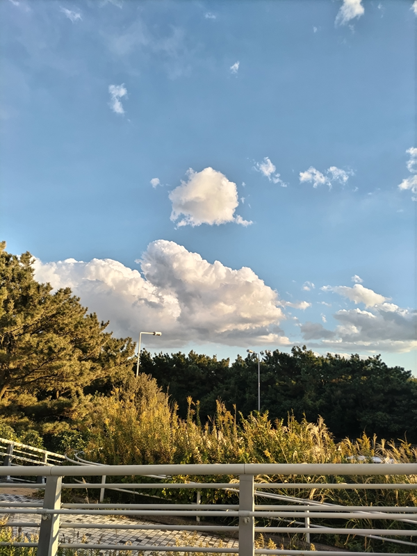 引籠りニートだった齋藤健一が水色の快晴の空を眺めている様子