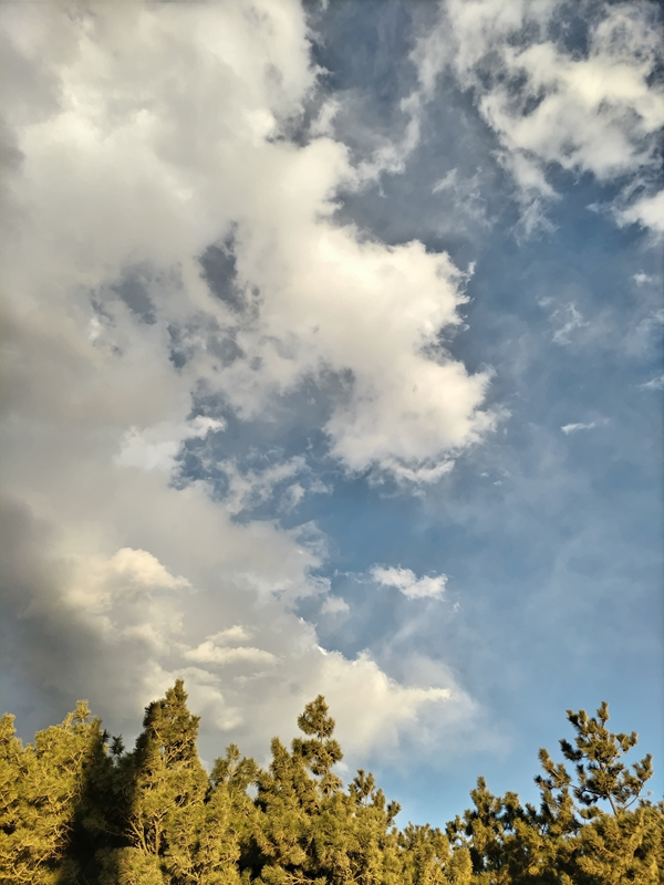 引籠りだった齋藤健一が見上げていた白い雲と水色の空を見上げている様子