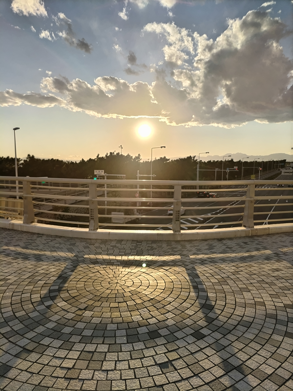 元ニートの齋藤健一が歩道橋の上から金色に輝く夕陽を見ている様子