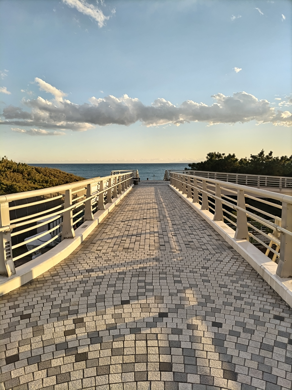 引籠りだった齋藤健一が歩道橋の上から茅ケ崎市の浜須賀の海の地平線を見ている様子