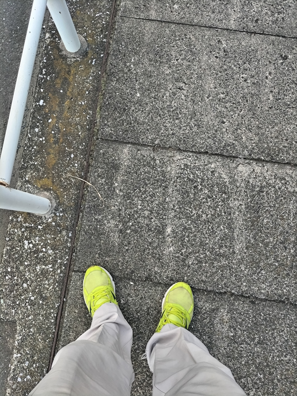 引籠りニートだった齋藤健一が見ていた茅ケ崎市の地面