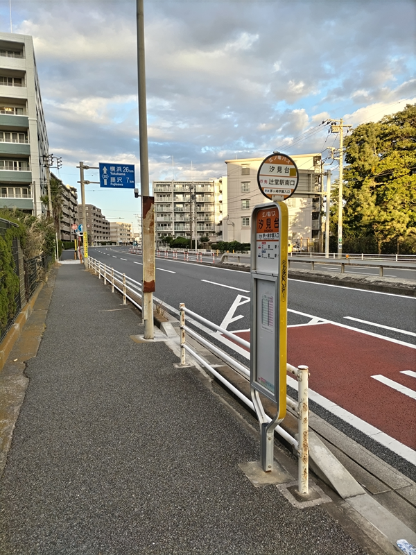 引籠りニートだったセル齋藤が汐見台の何も走っていない歩道と車道を見ている様子