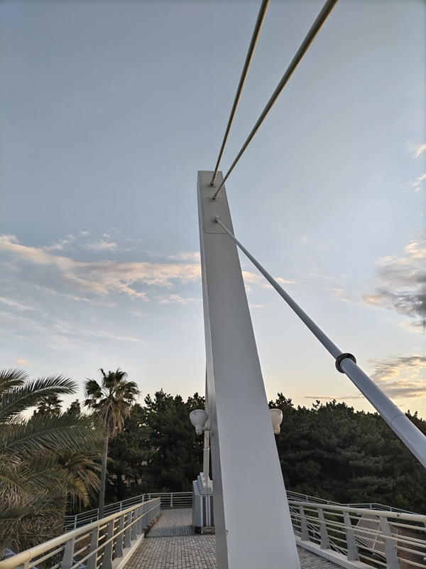 元引籠りニートだったセル齋藤が茅ケ崎市の歩道橋の上にある構造物を見ている様子