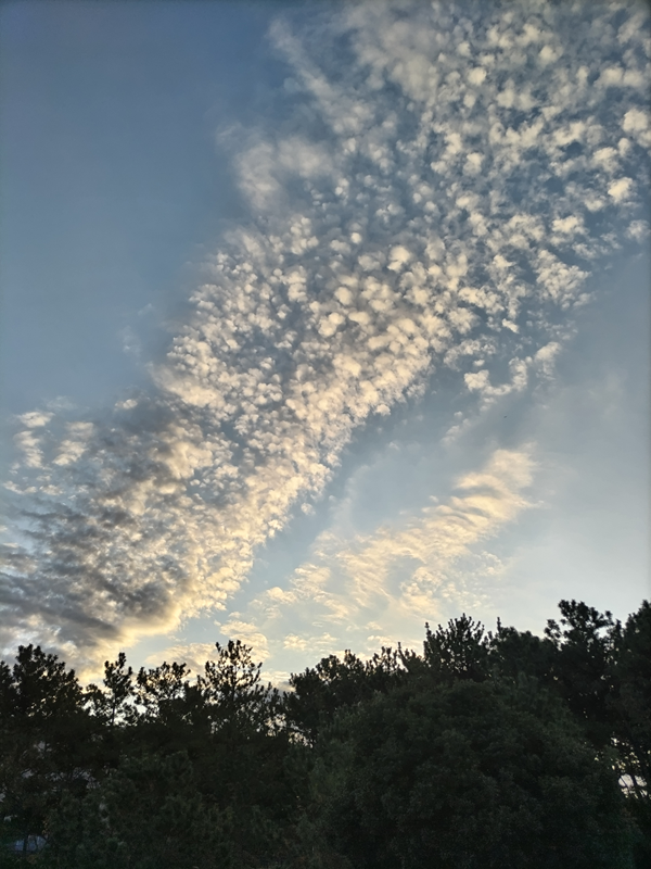 元ニートのセル齋藤が早朝に見上げていた空に広がる細かな雲