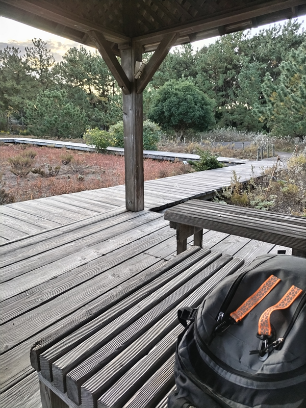 元ニートのセル齋藤が見ていたグレイの木製の床