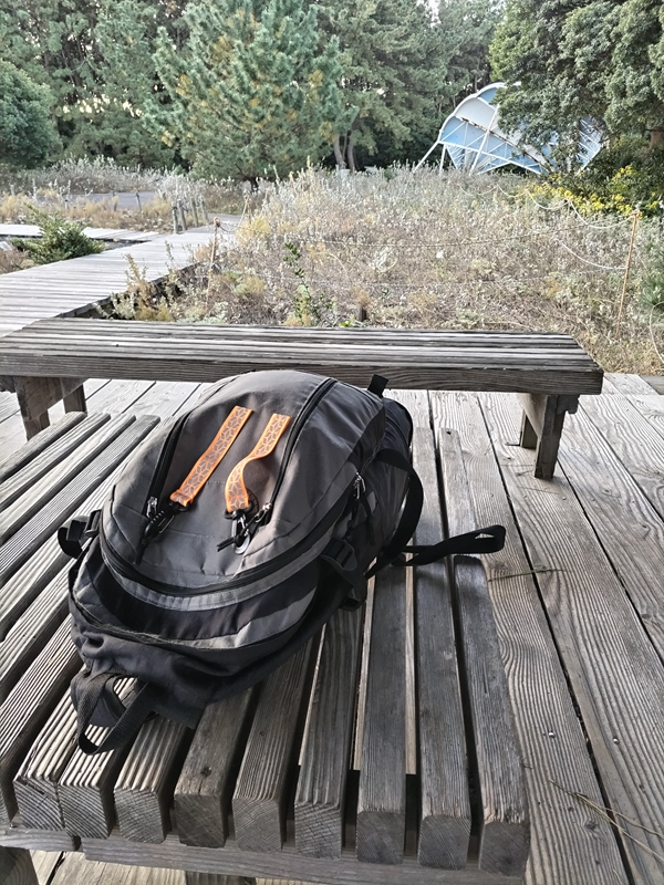 引籠りニートだったセル齋藤が見ていた木製テーブルと木製ベンチ