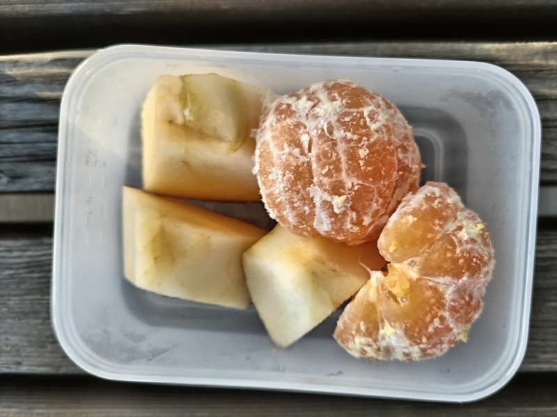 引籠りニートだったセル齋藤が朝に食べていたミカンとカットリンゴ