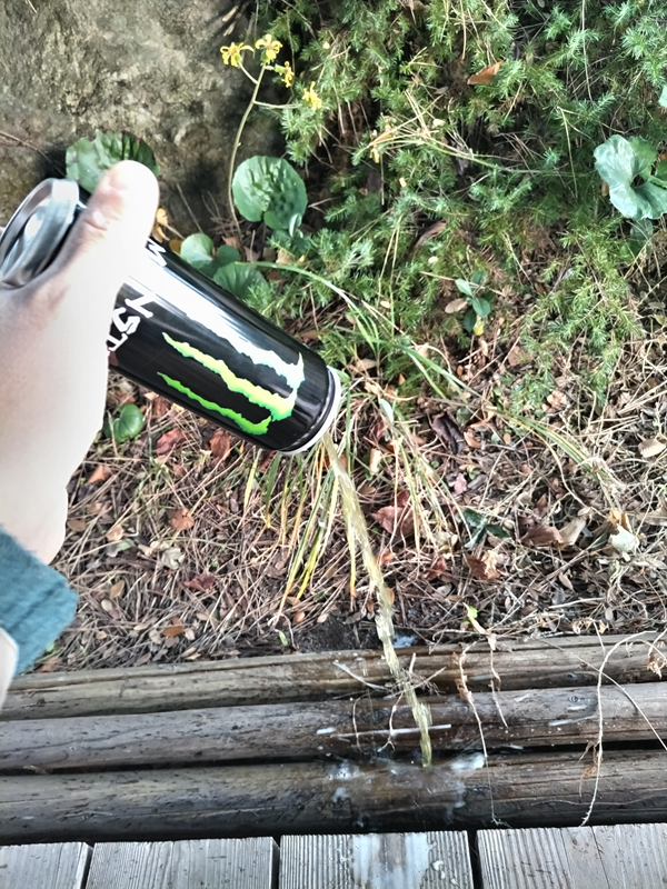 引籠りだったセル齋藤が飲み残しのエナジードリンクを公園内に捨てているところ