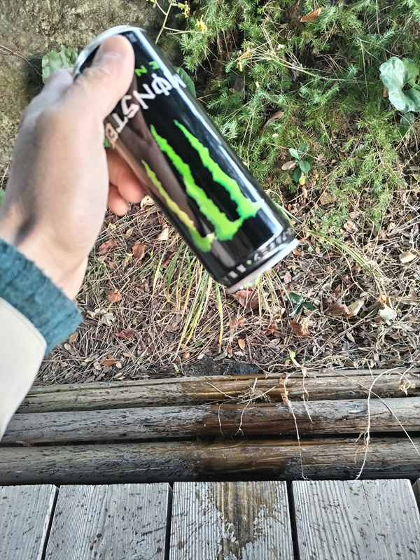 引籠りニートだったセル齋藤が飲み残しを捨てた後のモンスターエナジーの缶を見ている様子