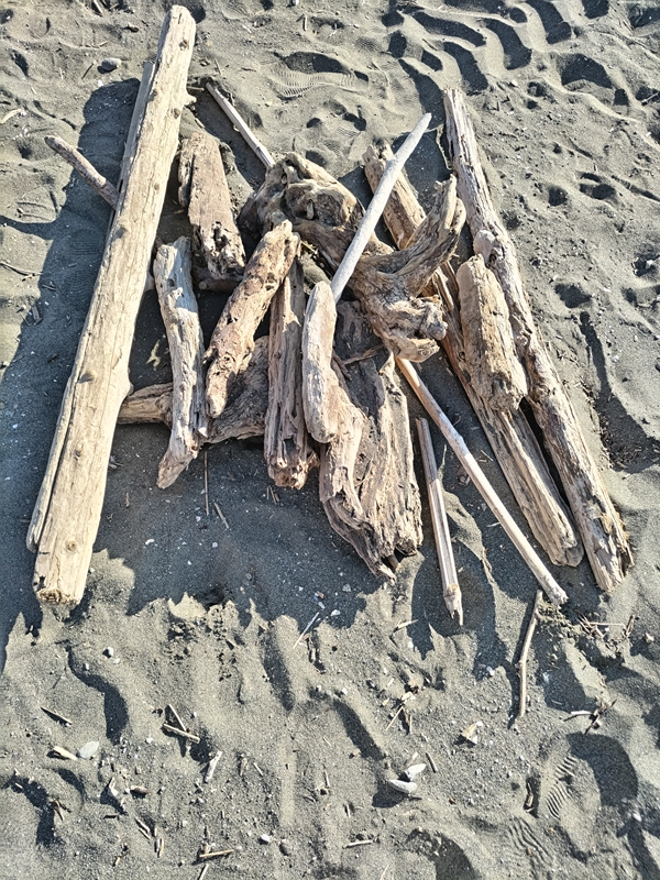 元ニートのセル齋藤が平塚ビーチセンター前の砂浜で集めた流木