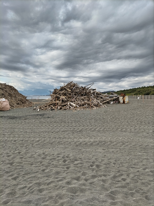 元引籠りニートのセル齋藤が見ていた平塚海岸の内側に山積みにされた大量の流木