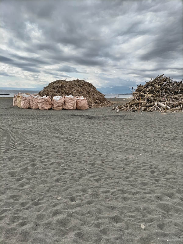 引籠りニートだったセル齋藤が見ていた山積みにされた木くずゴミと流木ゴミ