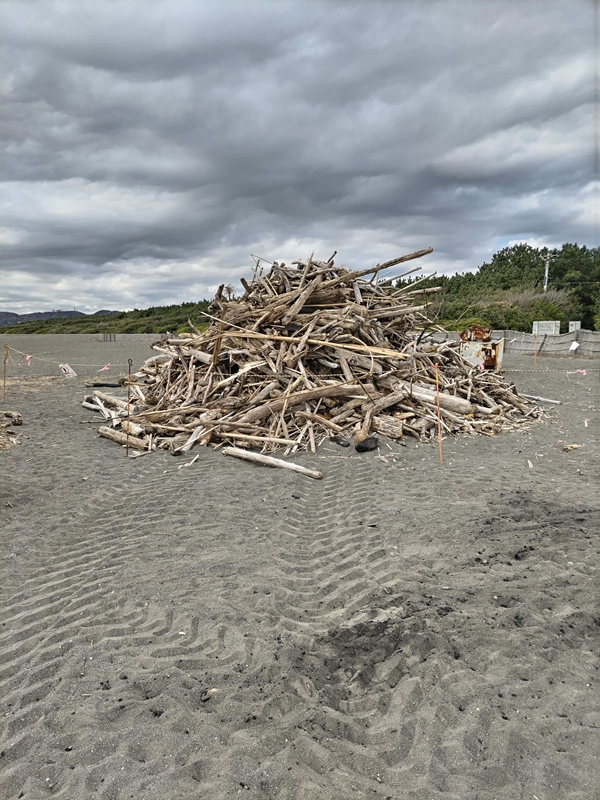 元ニート引籠りのセル齋藤が見ていた山積みの流木