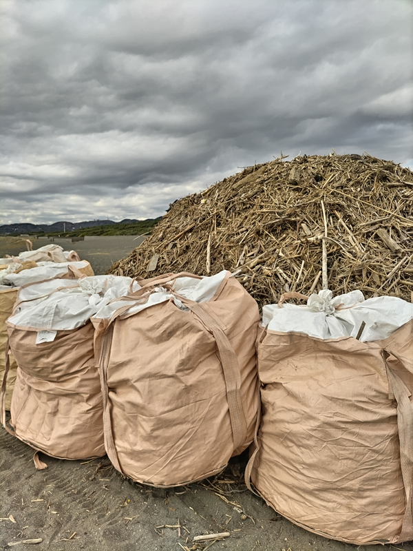 引籠りだったセル齋藤が海岸清掃で集めた大量の木くずの山