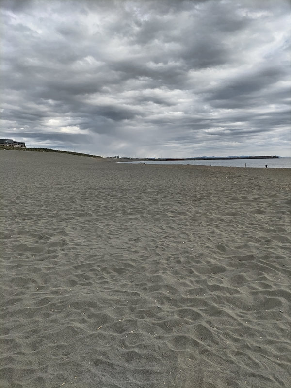 元ニートのセル齋藤が昼の平塚海岸を見ているところ