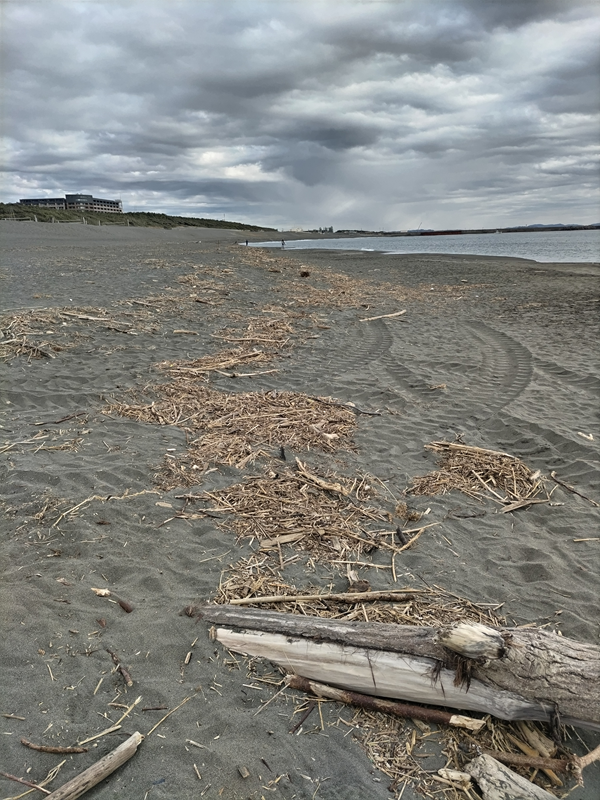 引籠りニートだったセル齋藤が平塚ビーチセンター前の砂浜に漂着した木くずゴミを眺めている様子