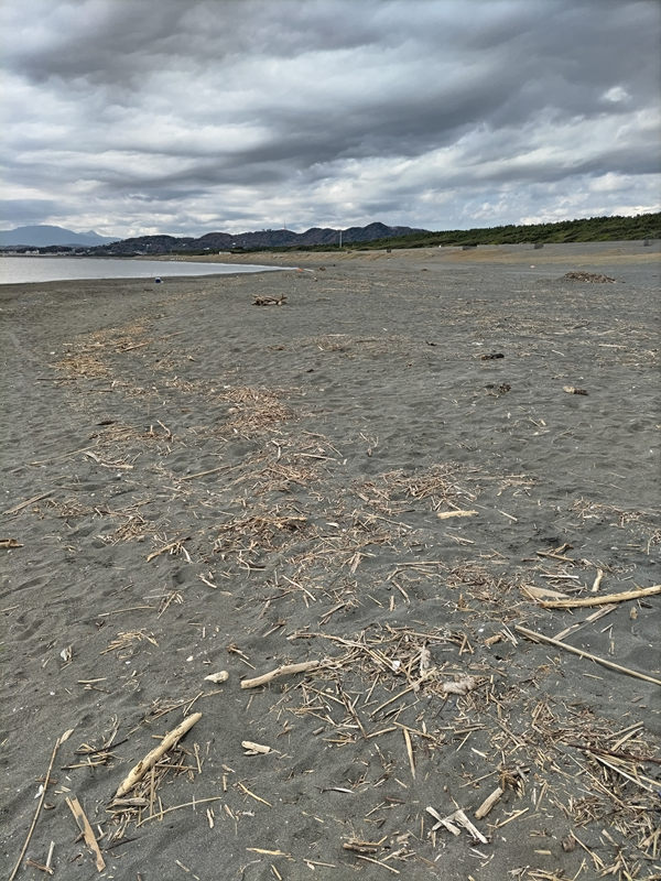 元引籠りのセル齋藤が海岸清掃前に見た木くずで汚れた平塚海岸の様子