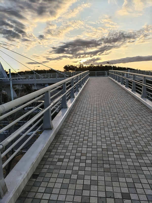 引籠りニートだったセル齋藤が早朝に歩道橋の上を見ている様子