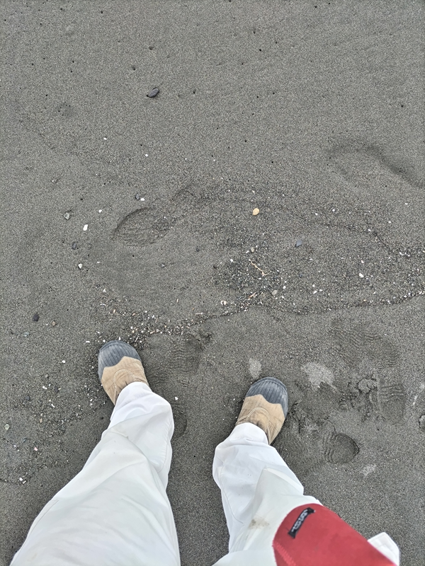 引籠りニートだったセル齋藤が白いズボンを履いて立っていた砂浜