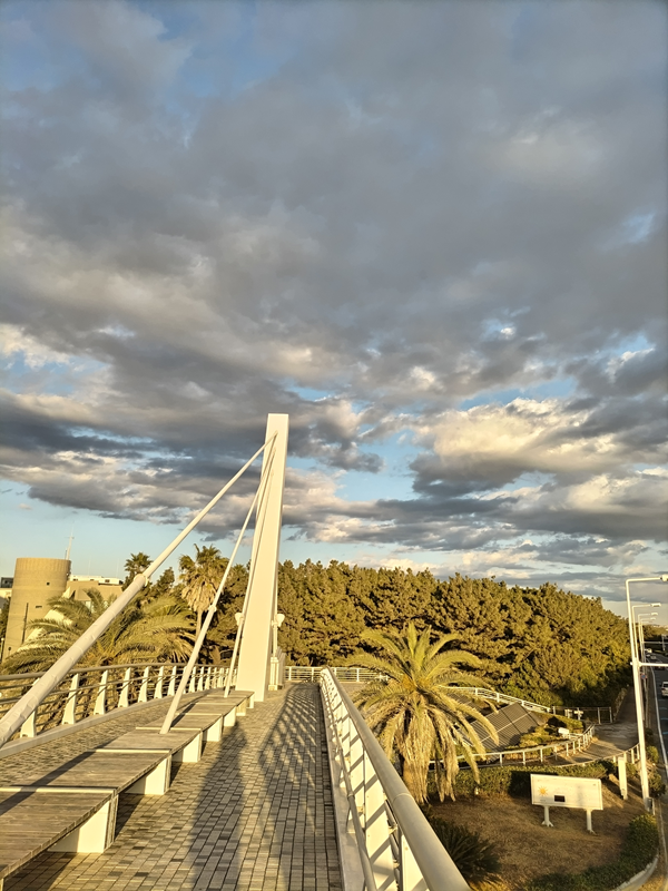 元ニート引籠りのセル齋藤が見ていた茅ケ崎の海の傍にある夕陽に照らされた歩道橋