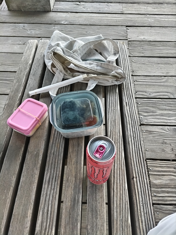 元引籠りニートのセル齋藤が見ていたピンク色のエナジードリンクと朝食セット