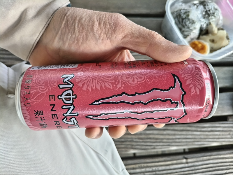 元引籠りニートだったセル齋藤が12月の早朝に飲んでいたピンクのモンスターエナジー