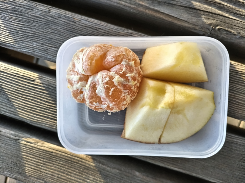 引籠りニートだったセル齋藤が12月の早朝に食べていたミカンとリンゴ