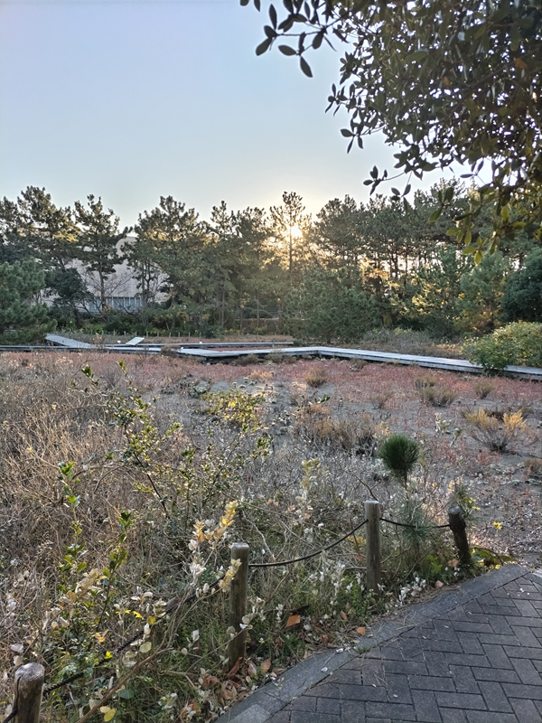 元ニート引籠りのセル齋藤が12月の公園を眺めている様子