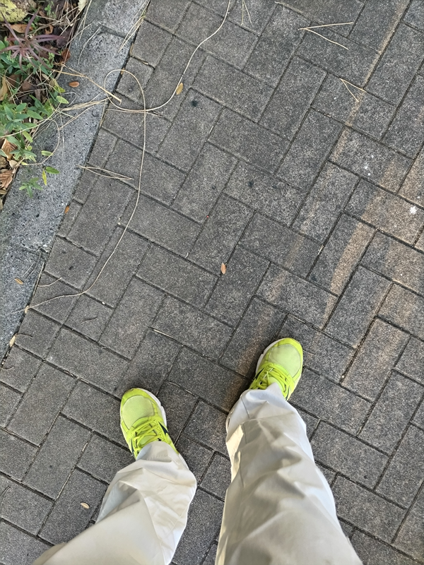 元ニート引籠りのセル齋藤が早朝の公園内の歩道に黄色のスニーカーを履いて立っている様子