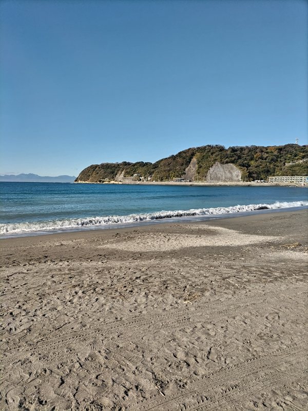 引籠りニートだったセル齋藤が見ていた逗子海岸の波