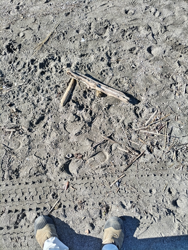 ひきこもりニートから清掃員へ【12月16日】