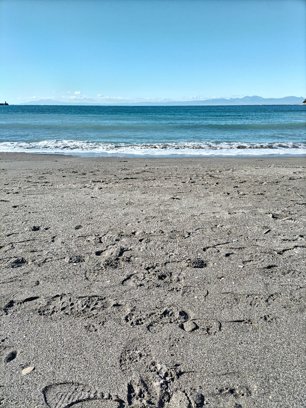 元ニート引籠りが眺めていた逗子海岸の砂浜と波