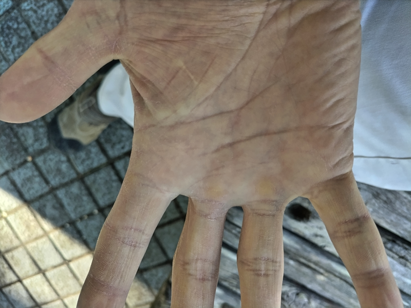 元引籠りニートのセル齋藤が開いた掌