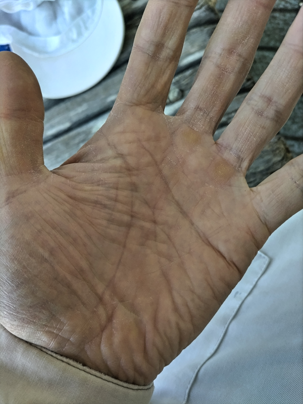 元ニート引籠りが開いていた左手の掌の手相を見ているところ