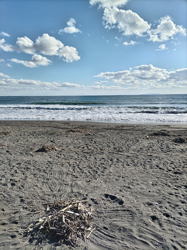 元ニート引籠りのセル齋藤が見ていた海岸清掃の様子