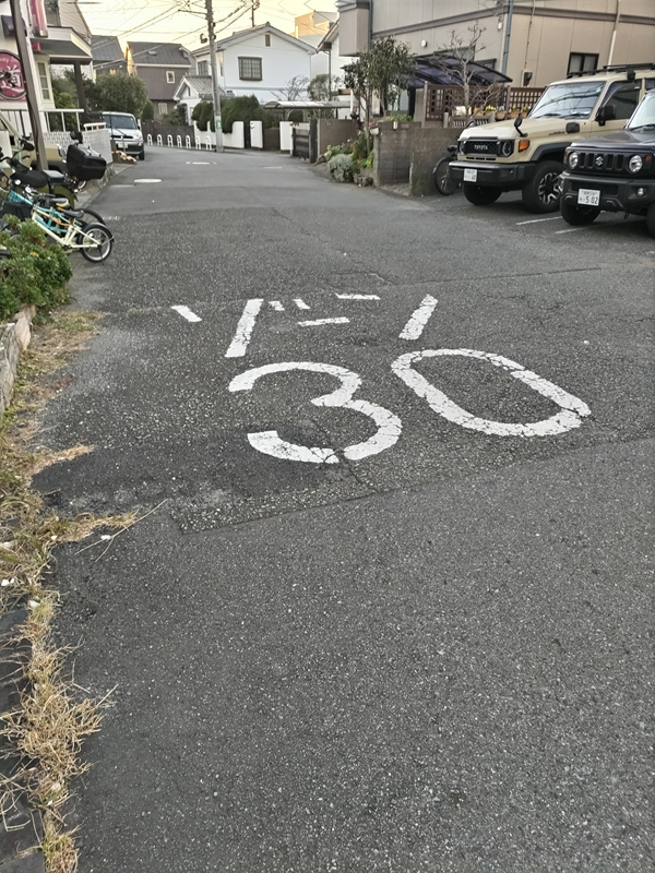 引籠りニートだったセル齋藤が12月のゾーン30と書かれた道路を眺めている様子