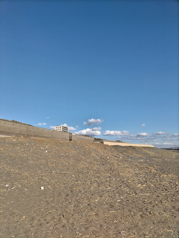 元ニート引籠りが見ていた湘南の海岸の内陸側にある竹の柵