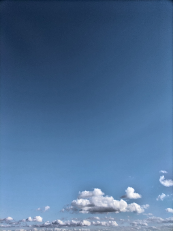 元引籠りニートのセル齋藤が眺めていた快晴の空と雲