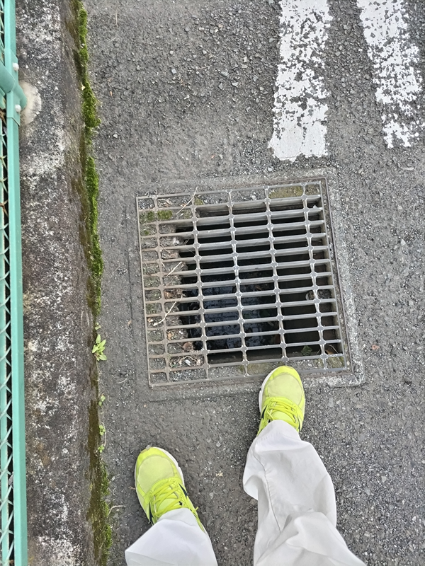 元引籠りニートのセル齋藤が早朝の排水溝を眺めている様子