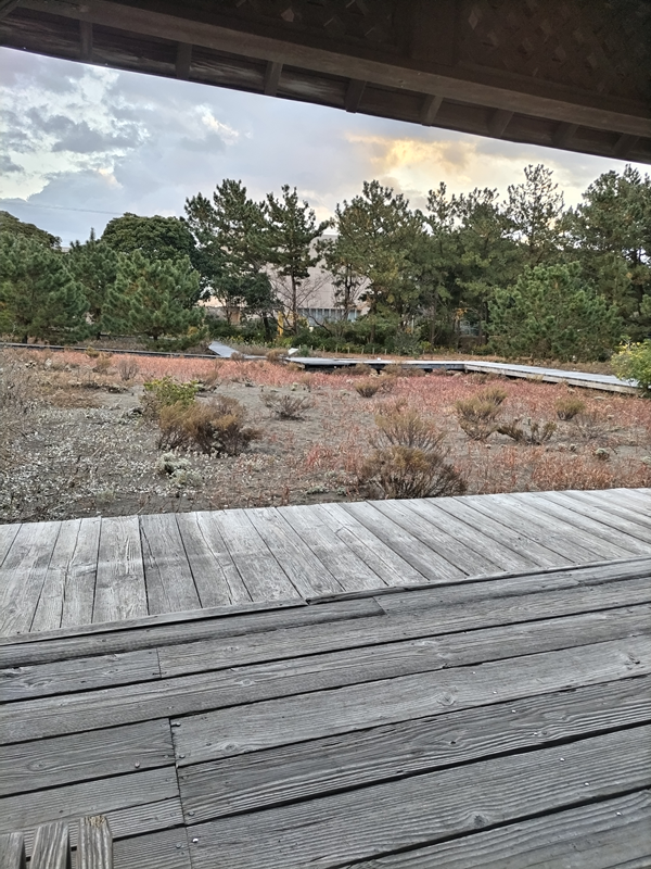 元引籠りニートだったセル齋藤が眺めていた12月の静かな公園