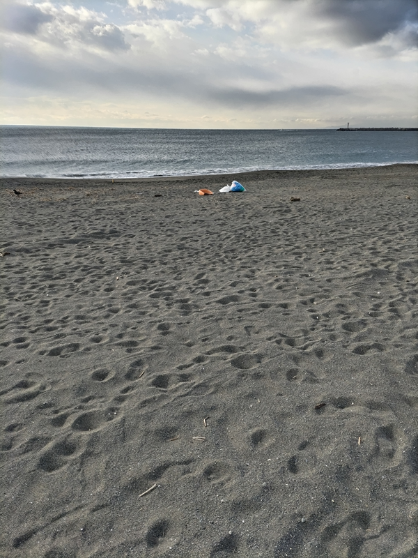 元ニート引籠りが眺めていた大磯の砂浜