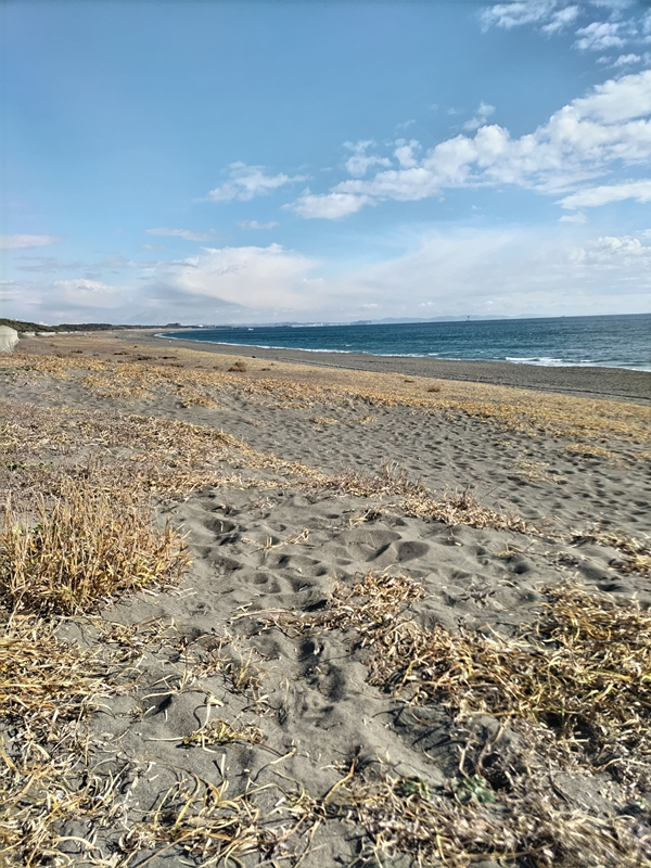 元ニートのセル齋藤が眺めていた大磯高校前の海岸【平塚側を望む】